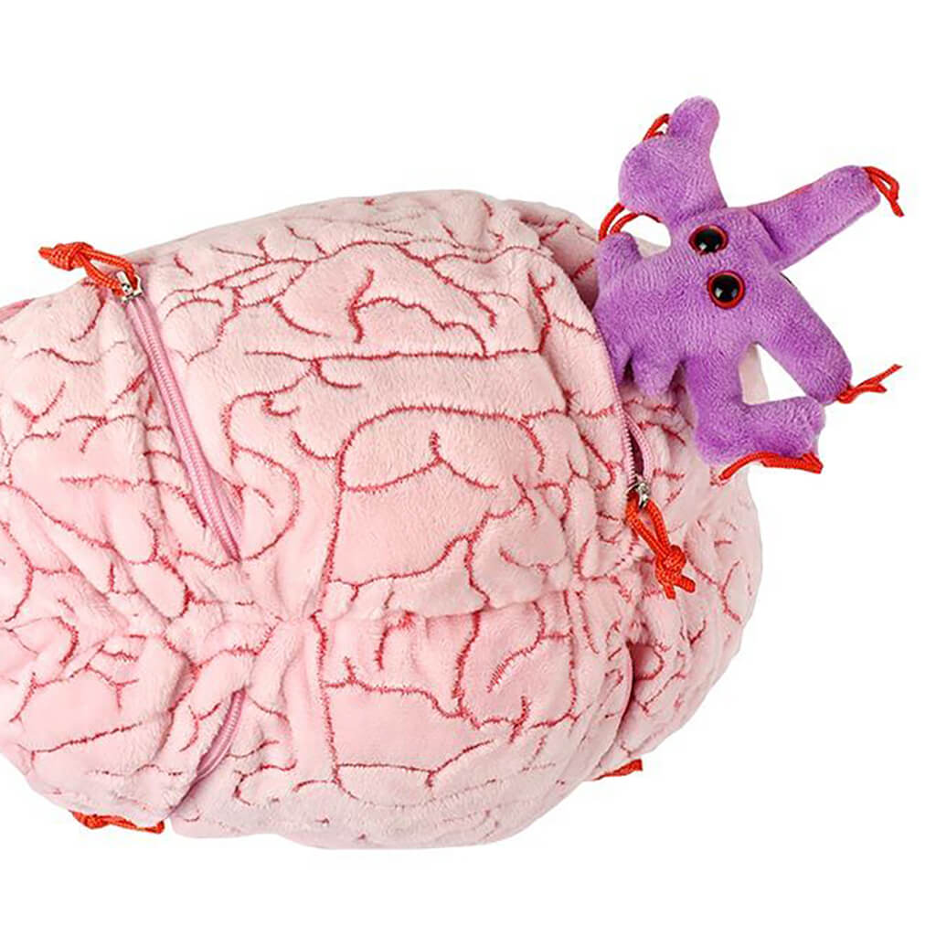 Deluxe Brain with Hidden Cells Neurotransmitters Soft Toy Steam Rocket Fun Educational Toys Games