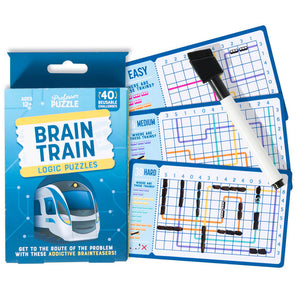 Brain Train Logic Puzzle Cards - Professor Puzzle