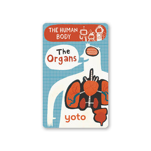 BrainBots: The Human Body - Cards for Yoto Player / Mini (8 Cards)