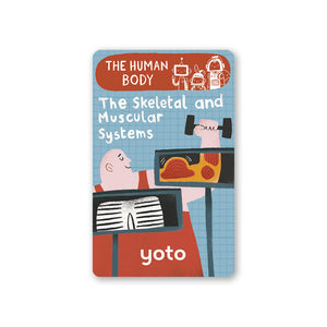 BrainBots: The Human Body - Cards for Yoto Player / Mini (8 Cards)