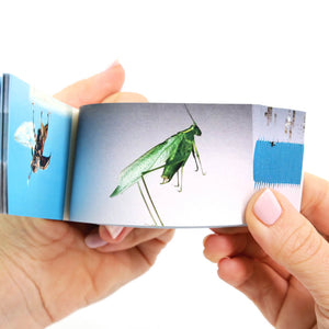 Bugs: A Motion in Nature Flipbook - Flipboku