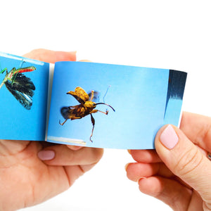 Bugs: A Motion in Nature Flipbook - Flipboku