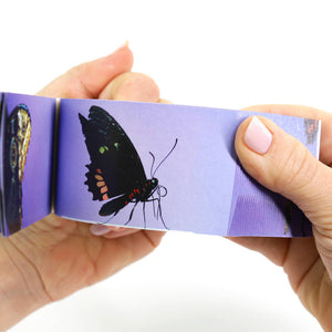 Butterflies: A Motion in Nature Flipbook - Flipboku