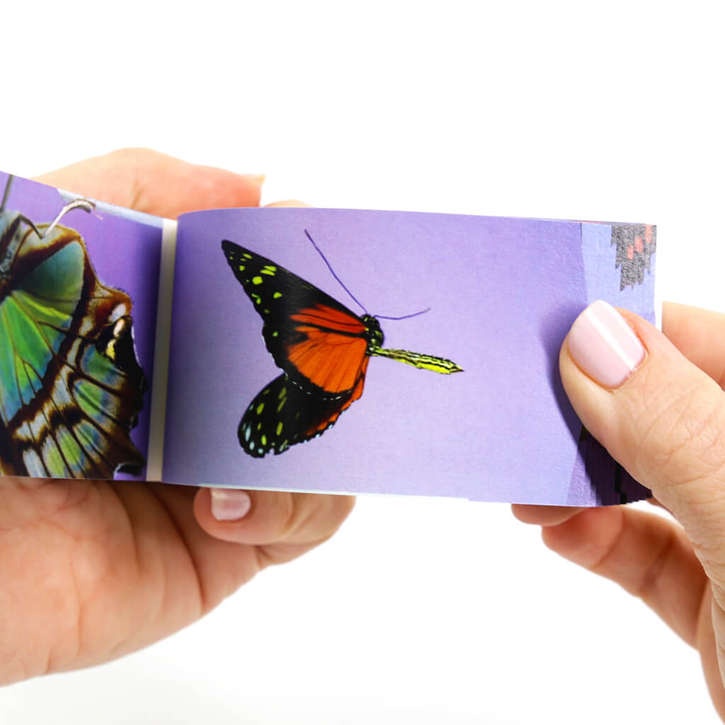 Butterflies: A Motion in Nature Flipbook - Flipboku