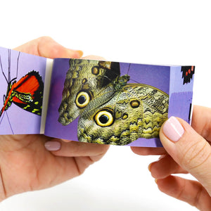 Butterflies: A Motion in Nature Flipbook - Flipboku