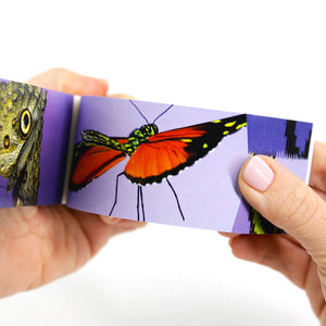 Butterflies: A Motion in Nature Flipbook - Flipboku