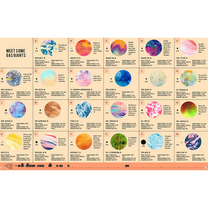 Exoplanets: A Visual Guide to the Worlds Outside our Solar System - Bushel & Peck Books (Hardback)