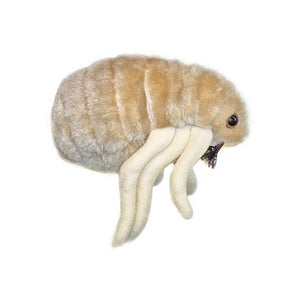 Flea (Ctenocephalides Felis) Soft Toy - Giant Microbes