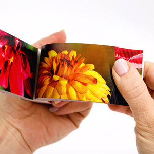 Flowers: A Motion in Nature Flipbook - Flipboku