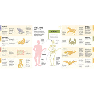 Foldout Anatomy: An Interactive Look Inside Humans and Animals - Bushel & Peck Books (Hardback)