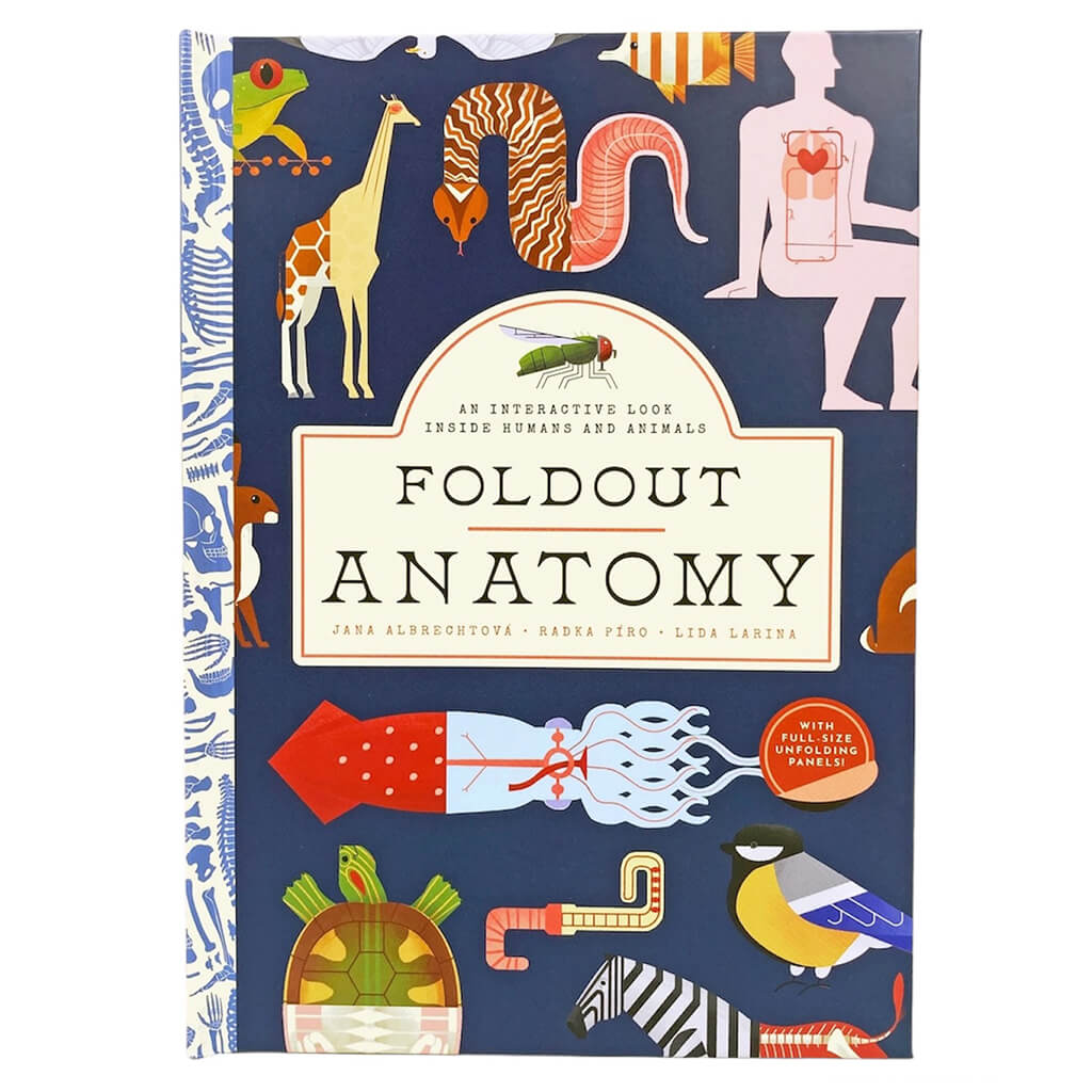 Foldout Anatomy: An Interactive Look Inside Humans and Animals - Bushel & Peck Books (Hardback)