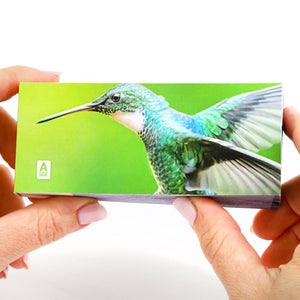 Hummingbirds: A Motion in Nature Flipbook - Flipboku