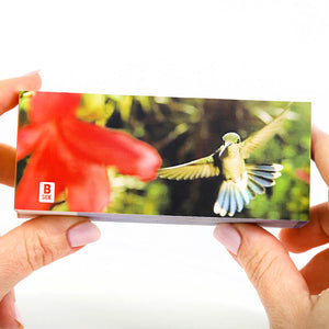 Hummingbirds: A Motion in Nature Flipbook - Flipboku