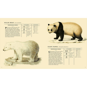 Mammalia: An Illustrated Guide to the World of Mammals - Bushel & Peck Books (Hardback)