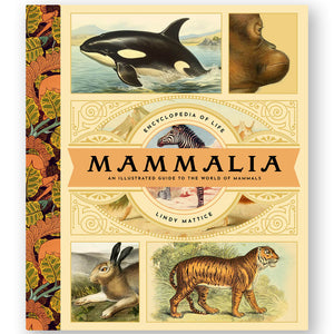 Mammalia: An Illustrated Guide to the World of Mammals - Bushel & Peck Books (Hardback)