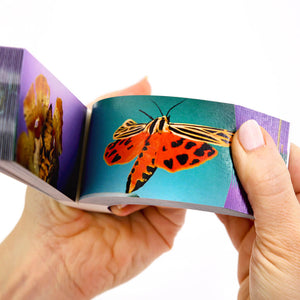 Moths: A Motion in Nature Flipbook - Flipboku