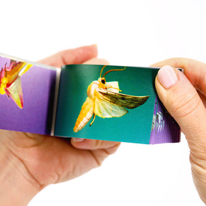 Moths: A Motion in Nature Flipbook - Flipboku