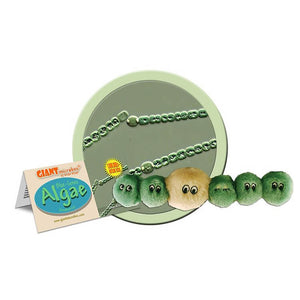 Blue-Green Algae (Anabaena) Soft Toy - Giant Microbes