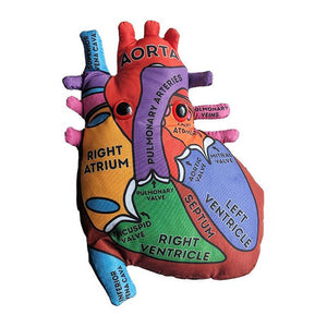 Heart Model Soft Toy - Giant Microbes