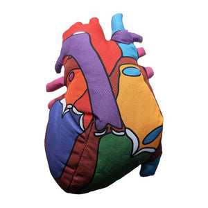 Heart Model Soft Toy - Giant Microbes