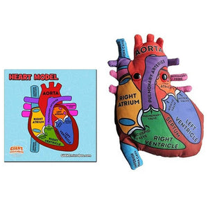 Heart Model Soft Toy - Giant Microbes