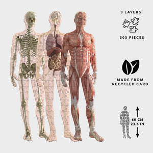 Anatomy Jigsaw Puzzles (303 Pieces) - Pikkii