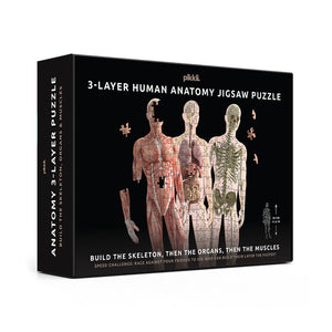 Anatomy Jigsaw Puzzles (303 Pieces) - Pikkii