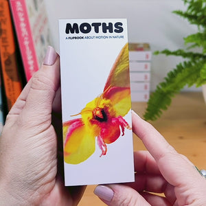 Moths: A Motion in Nature Flipbook - Flipboku