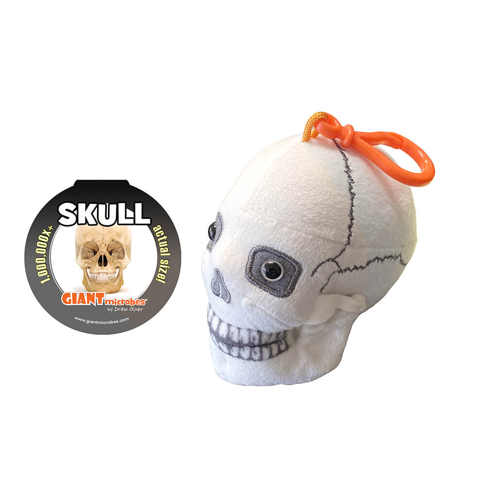 Skull hot sale key holder