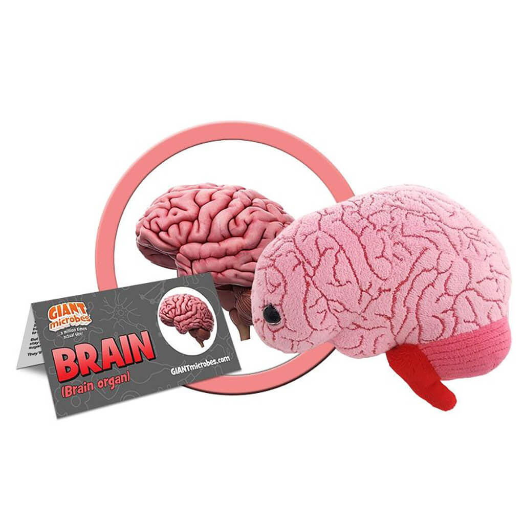 Brain plush hot sale