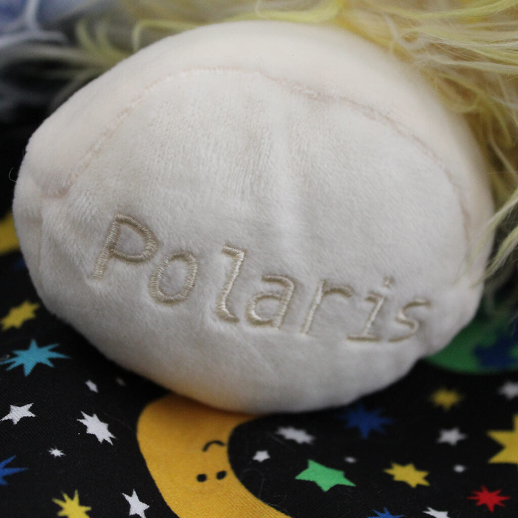 Celestial 2024 buddies polaris