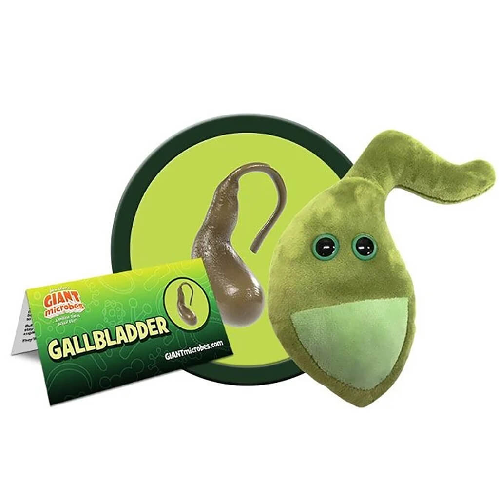 Happy gallbladder store plush